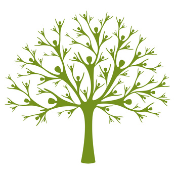 branches of a tree