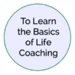 I want to learn the basics I want to learn the basics