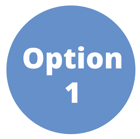 Option 1 Option 1