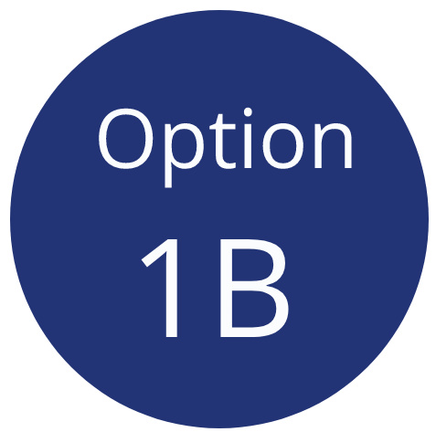 Option 1B