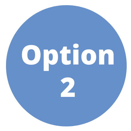 Option 2 Option 2
