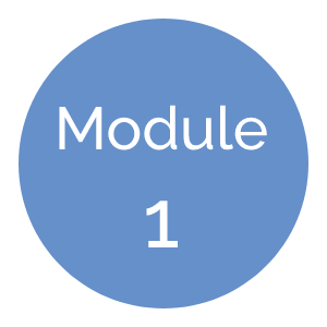 ST Module 1
