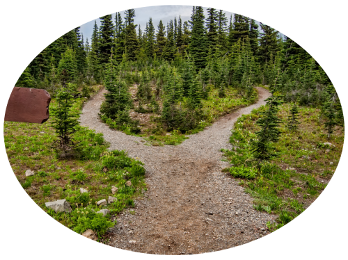 Alternative paths Alternative paths