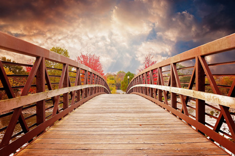 Wooden bridge