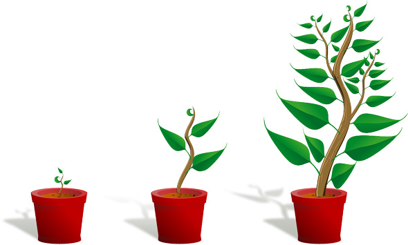 growth growth
