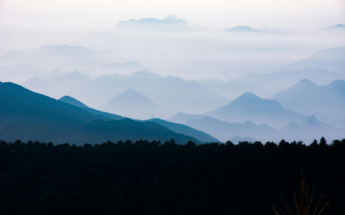 Blog - transformational life coaching Blog - transformational life coaching